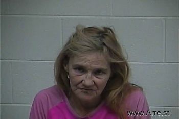 Karen Sue Clark Mugshot