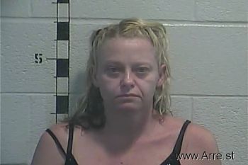 Karen Renee Cook Mugshot