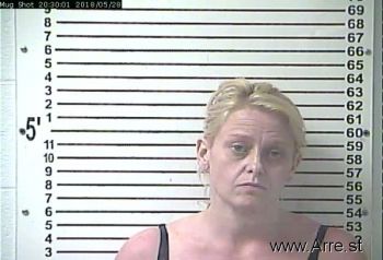 Karen Renee Cook Mugshot