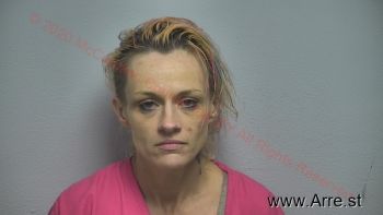 Karen D Johnson Mugshot