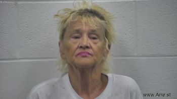 Karen Ann Johnson Mugshot