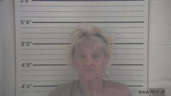 Karen Ann Johnson Mugshot