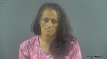 Karen Irene Shofner Mugshot