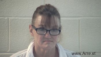 Karen Ann Wilson Mugshot