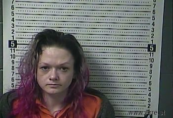 Kari Ann Carter Mugshot