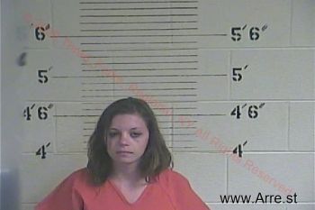 Karla  Williams Mugshot