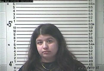 Katherine Rosa Torres Mugshot