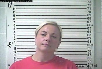 Kayla Leigh Anderson Mugshot