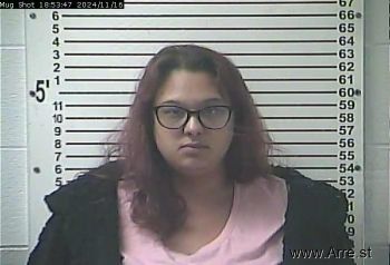 Kayla Marie Kinnaird Mugshot