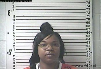 Kayla Marie Lee Mugshot