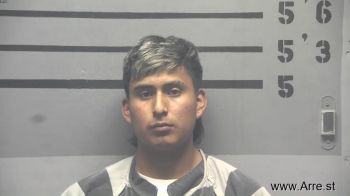Kevin . Tenezaca Pala Mugshot