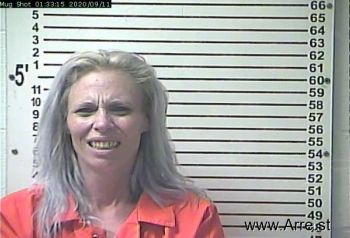 Kimberly Ann Chamberlain Mugshot