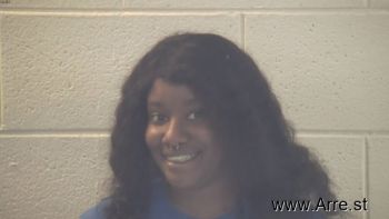 Kimberly Leila Cook Mugshot