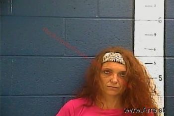 Kimberly  Dozier Mugshot