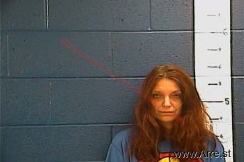 Kimberly  Dozier Mugshot