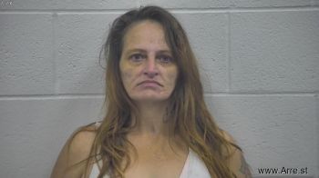 Kimberly Sue Hensley Mugshot