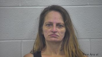 Kimberly Sue Hensley Mugshot