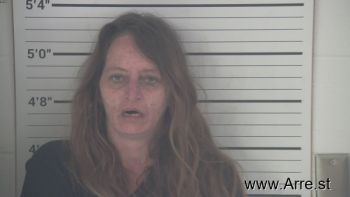 Kimberly Sue Hensley-griffith Mugshot