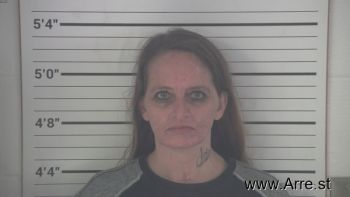 Kimberly Sue Hensley-griffith Mugshot