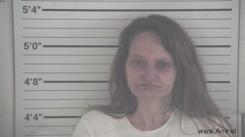 Kimberly Sue Hensley-griffith Mugshot