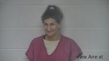 Kimberly  Perkins Mugshot