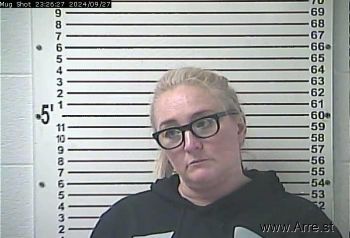 Kimberly Nicole Sullivan Mugshot