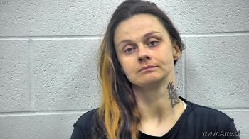 Kimberly Marie Townsend Mugshot