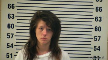 Kindra Ann Marie Vice Mugshot