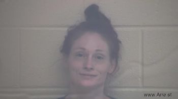 Kristen Leigh Bauer Mugshot