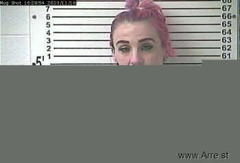 Kristen Anne Tedaldi Dickerson Mugshot