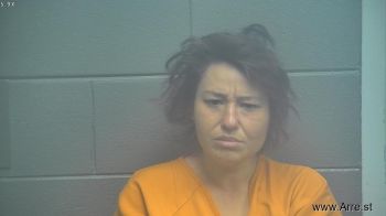 Kristie Ann Ellison Mugshot