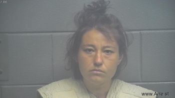 Kristie Ann Ellison Mugshot