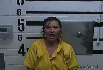 Kristie Ann Ellison Mugshot