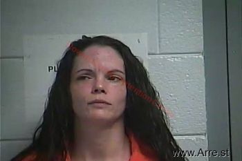 Kristie  Williams Mugshot