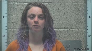 Kristin A Robinson Mugshot