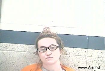 Kristin Marie Welte Mugshot