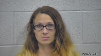 Kristin Sue Nicole Wilson Mugshot