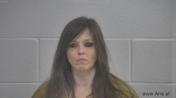 Kristy  Johnson Mugshot