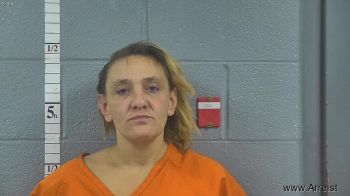 Kristy Lynn Lee Mugshot