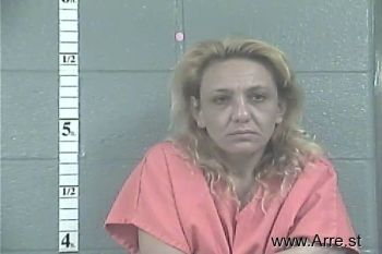 Kristy Lynn Lee Mugshot