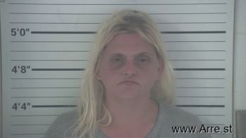 Krystal Gail Hamlin Mugshot