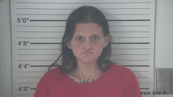 Krystal Gail Hamlin Mugshot