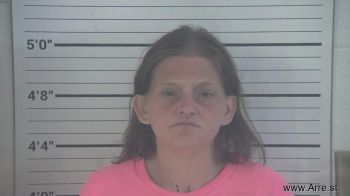 Krystal Gail Hamlin Mugshot