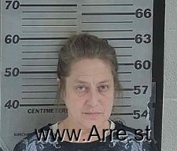 Karen E Cox Mugshot