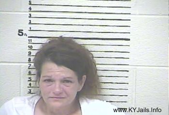 Kimberly Elizabeth Goodin   Mugshot