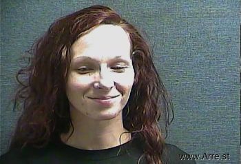 Kristin Sue Nicole Wilson Mugshot