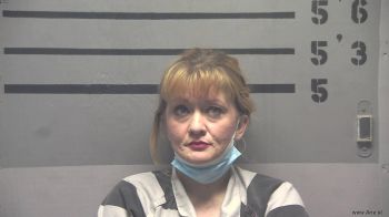 Kristina  Mcgrann Mugshot