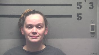 Kristine  Snyder Mugshot