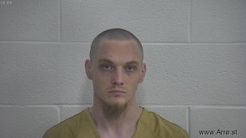 Landon L Williams Mugshot