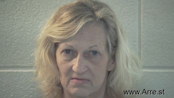 Lara L Baird Mugshot